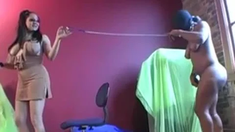 ejaculate Tank Number 19