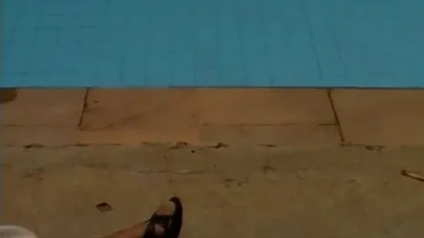 The tranny Diaries - Shock Wave